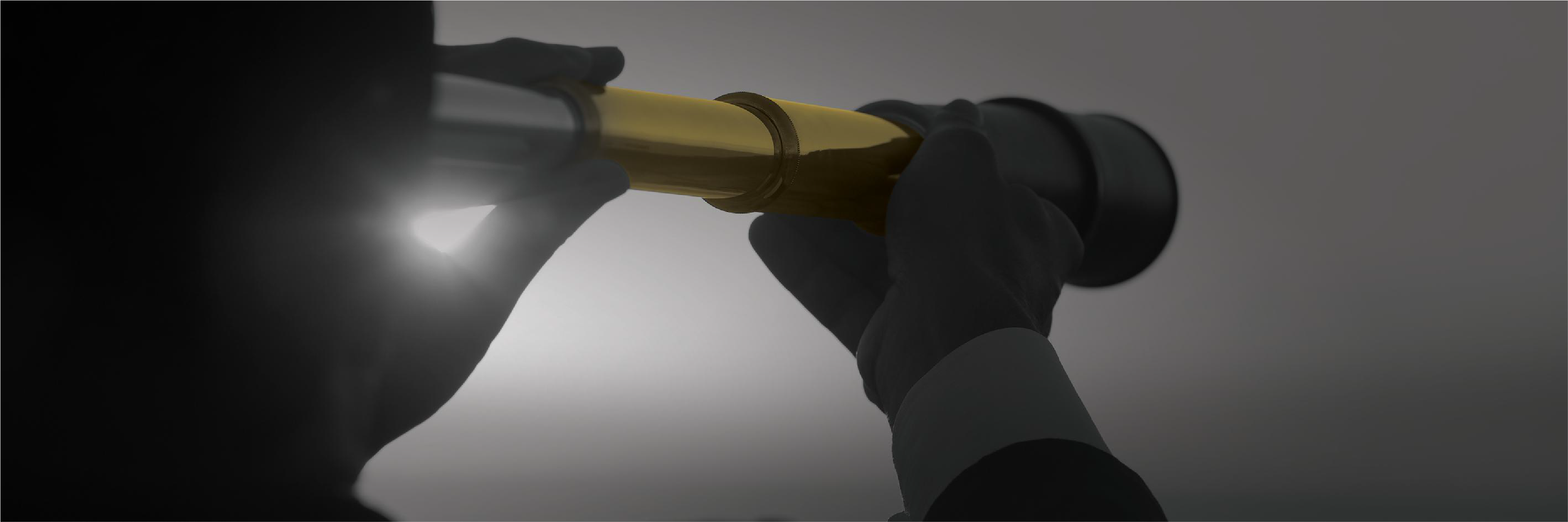 الشركات والمنشآت